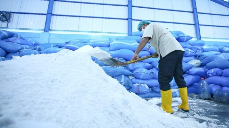 Petugas sedang meninjau garam produksi BUMD Pemprob Jateng di Pati. (humas pemprov jateng)