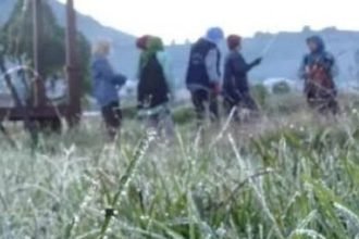 Ilustrasi embun es atau embun upas yang terjadi saat musim 'mbediding'.