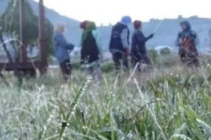 Ilustrasi embun es atau embun upas yang terjadi saat musim 'mbediding'.