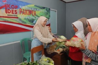 Pengurus Kopdes Merah Putih Pekopen menjalankan usaha koperasi dengan menjual saruy-sayuran segar, Kamis (1072025). (humas pemprov)