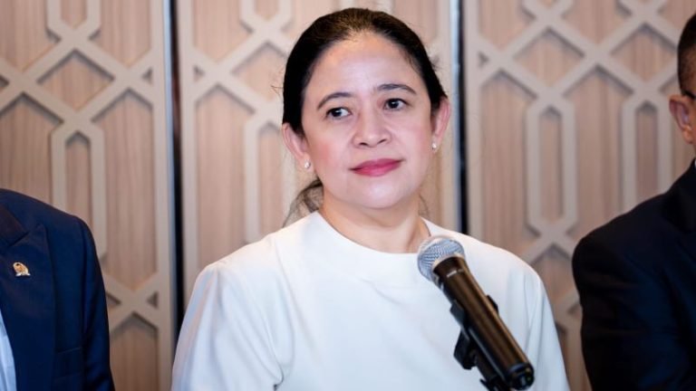 Ketua DPR RI, Puan Maharani. (Foto: Ist)