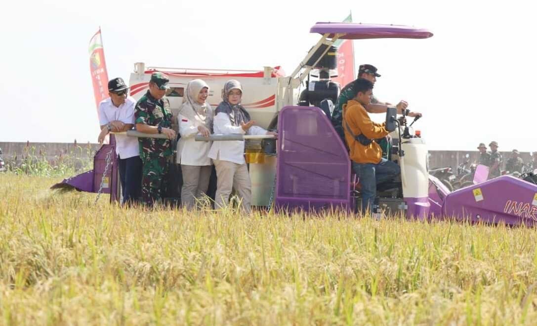 Pemkot Pekalongan mengubah lahan rob jadi lahan pertanian produktif. Foto: dok.