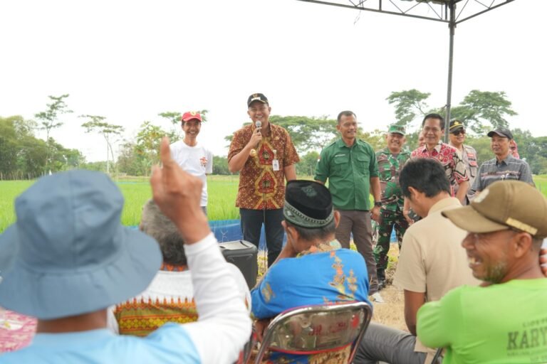 Kepala Dinas Ketahanan Pangan dan Pertanian Klaten mewakili Bupati KLaten Hamenang saat sosialisasi penggunaan Trap Barrier System pada lahan tanam padi. Foto: dok/humas