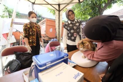 Wakil Walikota Surakarta Astrid Widayani turun langsung ngecek pelaksanaan vaksinasi hewan piaraan, Rabu (3/9/2025). Foto: dok.