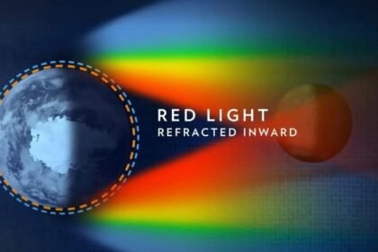 Tangkapan layar Youtube National Geographic