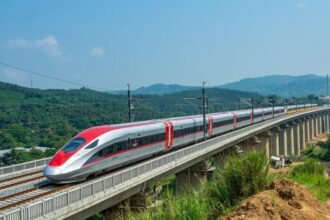 Kereta cepat Jakarta-Bandung, Whoosh.