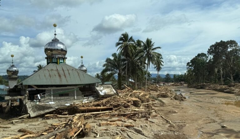 Kondisi pascabanjir wilayah di Desa Hotagodang , Batangtoru, Tapanuli Selatan, Sumatera Utara (Sumut) pada Minggu (30/11/2025).