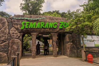 Pengunjung hendak memasuki area Seamrang Zoo. (dul)