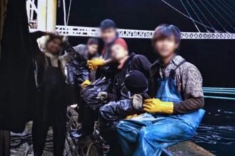 Ilustrasi anak buah kapal (ABK) berlayar di tengah laut. Awak kapal sering mendapat perlakuan tak manusiawi.