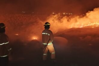 Ilustrasi petugas pemadam kebakaran (Damkar) berupaya memadamkan api.