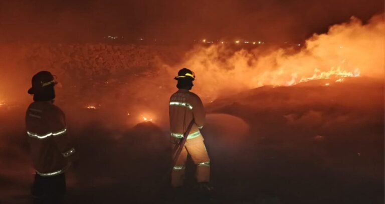 Ilustrasi petugas pemadam kebakaran (Damkar) berupaya memadamkan api.