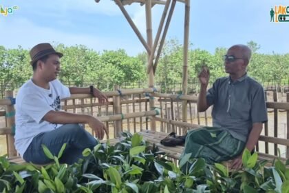 Sururi sang 'Profesor Mangrove' berbincang dengan host Lakol Lokal Bacaajadotco.