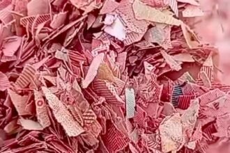 Cacahan uang kertas Rp100 ribu yang dibuang di TPS liar Bekasi.