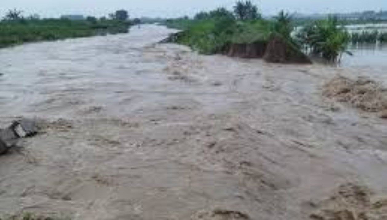 Tanggul Sungai Cacaban jebol, merendam ratusan rumah dan ratusan hektare sawah, di Karangawen, Demak, Senin (16/2/2026).