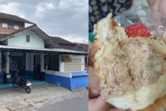 Kolase foto SPPG Giyanti dan roti berjamur yang dibagikan sebagai menu MBG.