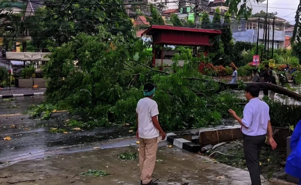 Pohon tumbang di Jalan S Parman, Kota Semarang, Rabu (4/3/2026) sore. (ist)