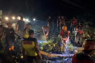 Petugas dan relawan melakukan evakuasi pohon-pohon tumbang di Jalur Pantura Kabupaten Batang, Rabu (4/3/2026) malam.