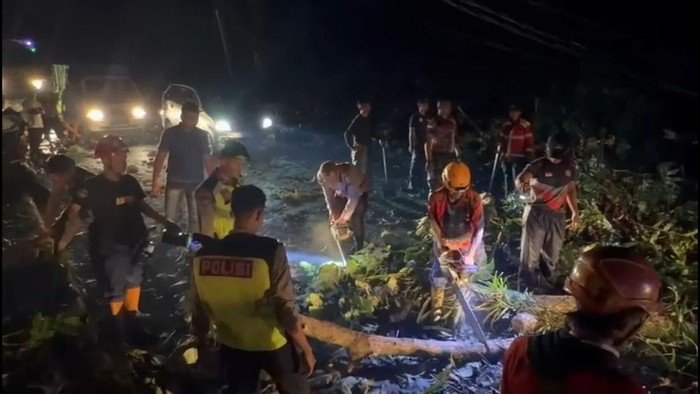 Petugas dan relawan melakukan evakuasi pohon-pohon tumbang di Jalur Pantura Kabupaten Batang, Rabu (4/3/2026) malam.