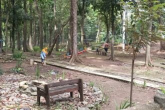 Pekerja sedang membersihkan area hutan di Silayur Park, Semarang.
