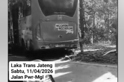 Bus Trans Jateng terlibat kecelakaan beruntun di Purworejo, Sabtu (11/4/2026). Satu korban dilaporkan tewas dalam peristiwa kecelakaan maut itu. (ist)