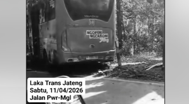 Bus Trans Jateng terlibat kecelakaan beruntun di Purworejo, Sabtu (11/4/2026). Satu korban dilaporkan tewas dalam peristiwa kecelakaan maut itu. (ist)