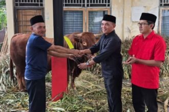 SERAHKAN HEWAN KURBAN - Sekretaris DPD PDIP Jateng secara simbolis menyerahkan hewan kurban kepada panitia kurban. (ist)