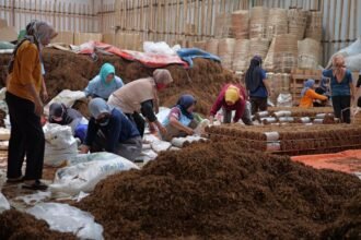 MENGEMAS - Pekerja sedang mengemas tembakau di sebuah gudang di Temanggung, sebelum disetor ke industri rokok.