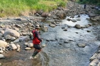 MULAI MENGERING - Warga mencari ikan di aliran Sungai Jabungan, Kota Semarang, yang mulai mengering, Minggu (28/6/2026). (dul)