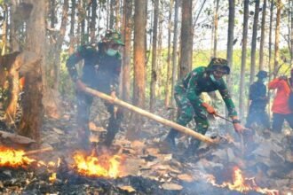 LATIHAN PENANGANAN KARHUTLA - Kodim 0728/Wonogiri menggelar latihan gabungan penanggulangan kebakaran hutan dan lahan (karhutla) di kawasan Alas Kethu.