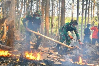 LATIHAN PENANGANAN KARHUTLA - Kodim 0728/Wonogiri menggelar latihan gabungan penanggulangan kebakaran hutan dan lahan (karhutla) di kawasan Alas Kethu.