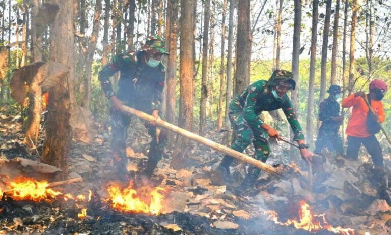 LATIHAN PENANGANAN KARHUTLA - Kodim 0728/Wonogiri menggelar latihan gabungan penanggulangan kebakaran hutan dan lahan (karhutla) di kawasan Alas Kethu.