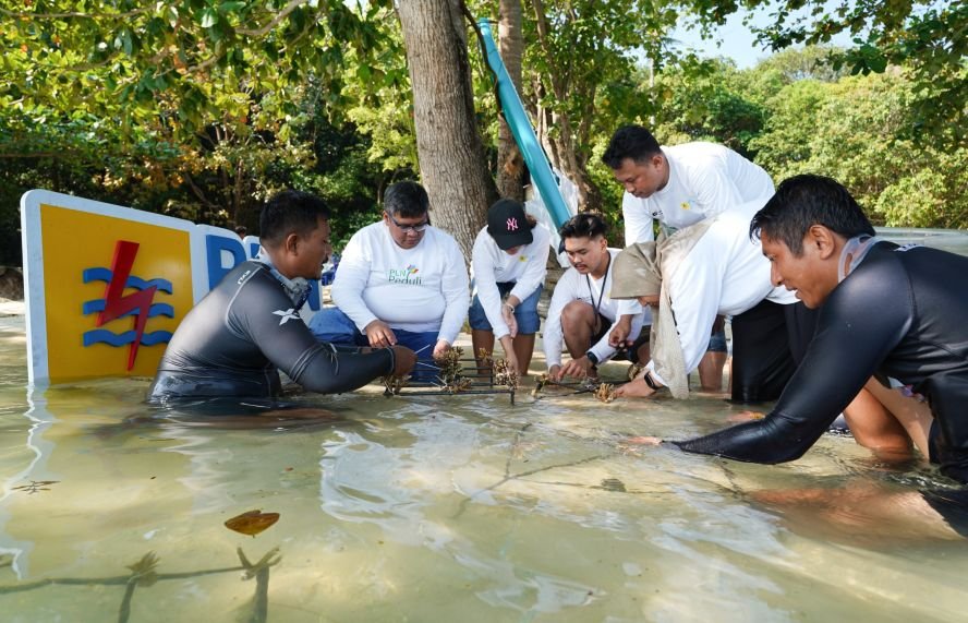 LESTARIKAN TERUMBU KARANG - PLN Icon Plus meluncurkan program TJSL Terumbu Karang Lestari untuk Laut Berkelanjutan (Terang Laut) di Karimunjawa.