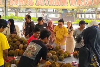 BAZAR DURIAN - Pembeli yang memadati lokasi Bazar sedang memilih durian untuk di beli. Kamis (6/8/2026). (dul)