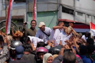 PROTES HARGA PAKAN - Peternak di Temanggung membagikan 5.000 ayam petelur kepada warga, sebagai bentuk protes atas mahalnya harga pakan ternak, Senin (10/8/2026). Menurut peternak, lebih ayam itu dibagikan kepada warga daripada mati di kandang. (*)