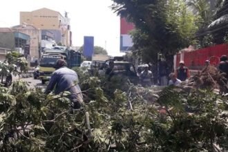 POHON TUMBANG--Petugas membersihkan pohon yang tumbang di Jalan Pandanaran Semarang, Jumat (4/9/2026). (ist)