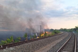 KEBAKARAN--Lahan di sekitar rel kereta jalur Kapuan-Cepu wilayah Daop 4 Semarang terbakar pada Minggu (6/9/2026). (ist)