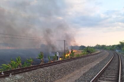 KEBAKARAN--Lahan di sekitar rel kereta jalur Kapuan-Cepu wilayah Daop 4 Semarang terbakar pada Minggu (6/9/2026). (ist)
