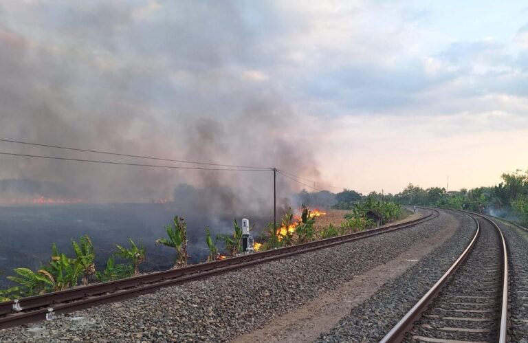 KEBAKARAN--Lahan di sekitar rel kereta jalur Kapuan-Cepu wilayah Daop 4 Semarang terbakar pada Minggu (6/9/2026). (ist)