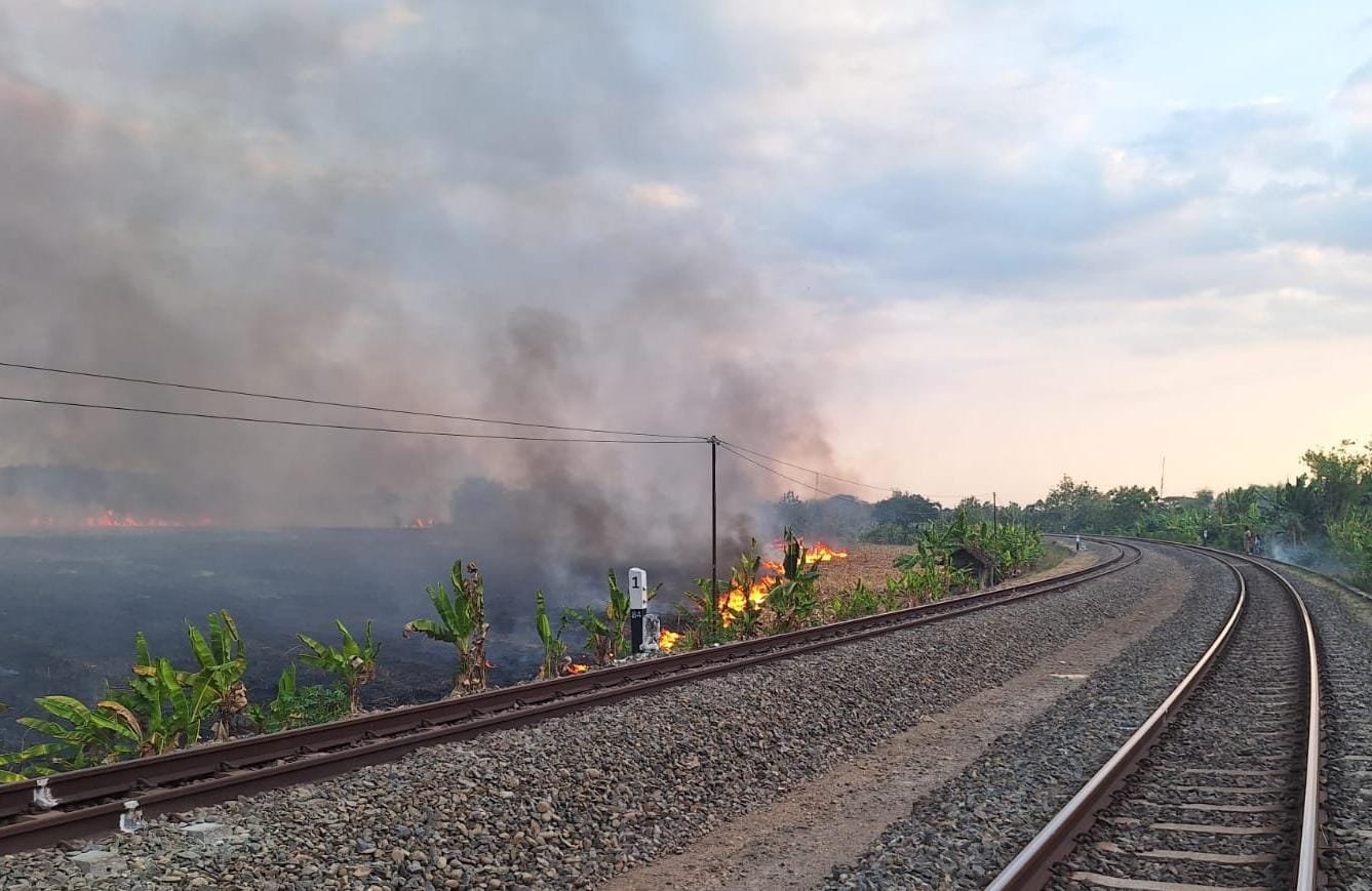 KEBAKARAN--Lahan di sekitar rel kereta jalur Kapuan-Cepu wilayah Daop 4 Semarang terbakar pada Minggu (6/9/2026). (ist)