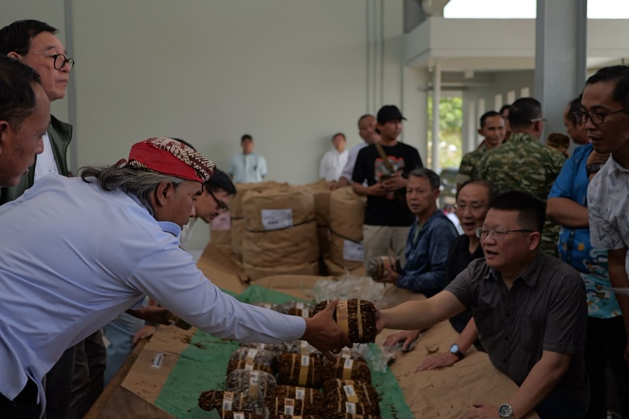 BLUSUKAN KE GUDANG - Bupati Temanggung Agus Setyawan (Agus Gondrong) blusukan ke gudang tembakau perwakilan pabrikan rokok di Temanggung, untuk memastikan tembakau petani terserap dengan harga layak, Rabu (16/9/2026).