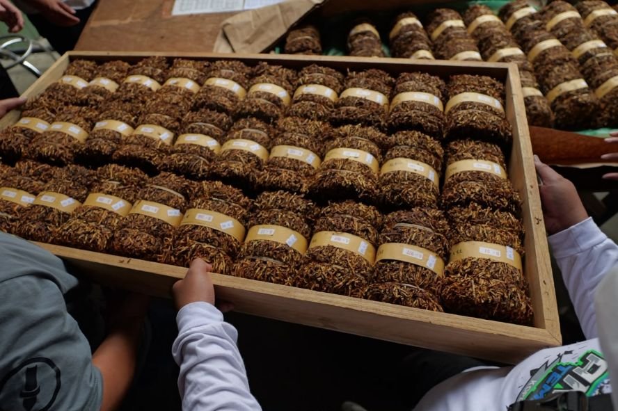BLUSUKAN KE GUDANG - Bupati Temanggung Agus Setyawan (Agus Gondrong) blusukan ke gudang tembakau perwakilan pabrikan rokok di Temanggung, untuk memastikan tembakau petani terserap dengan harga layak, Rabu (16/9/2026).
