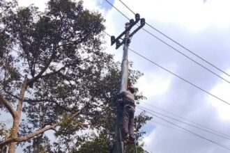 RAPIKAN JARINGAN - PLN Icon Plus SBU Regional Jawa Bagian Tengah melakukan perapihan kabel jaringan di wilayah Wonosobo, untuk menjaga keandalan infrastuktur.