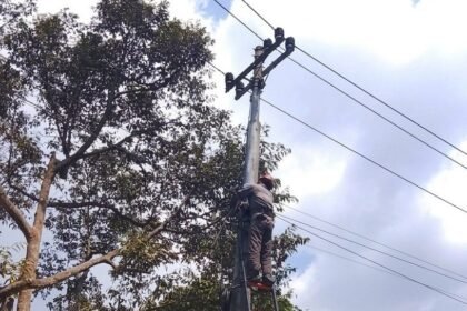 RAPIKAN JARINGAN - PLN Icon Plus SBU Regional Jawa Bagian Tengah melakukan perapihan kabel jaringan di wilayah Wonosobo, untuk menjaga keandalan infrastuktur.