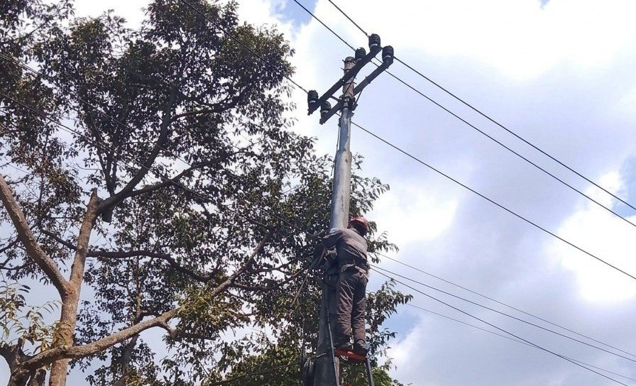 RAPIKAN JARINGAN - PLN Icon Plus SBU Regional Jawa Bagian Tengah melakukan perapihan kabel jaringan di wilayah Wonosobo, untuk menjaga keandalan infrastuktur.