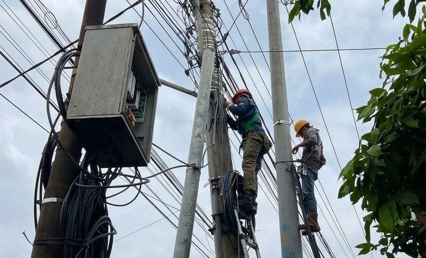 PEMELIHARAAN JARINGAN - Petugas PLN Icon Plus merapikan kabel jaringan di Majenang, Kabupaten Cilacap. Perapian kabel merupakan bagian dari pemeliharaan infrastruktur untuk memelihara keandalan layanan.