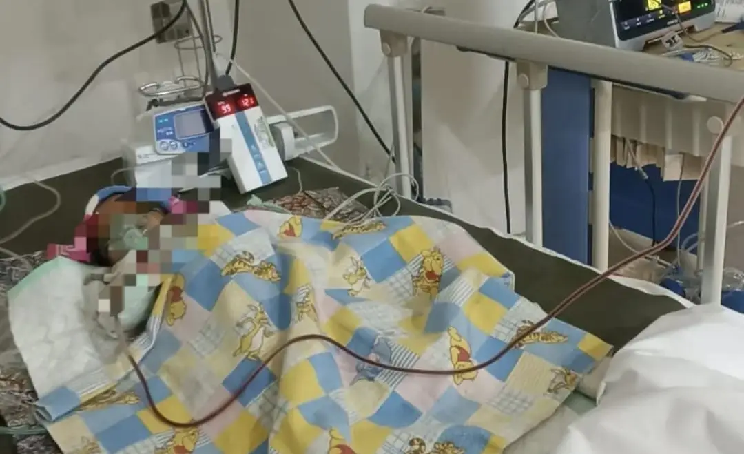 BAYI KRITIS: Bayi bernama Alena masih dalam kondisi kritis di RS dr. Soetomo Surabaya. (ist)