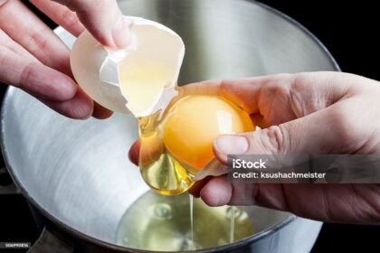 Ilustrasi telur mentah.